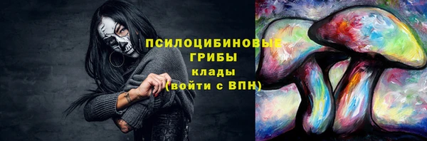 ешки Белоозёрский