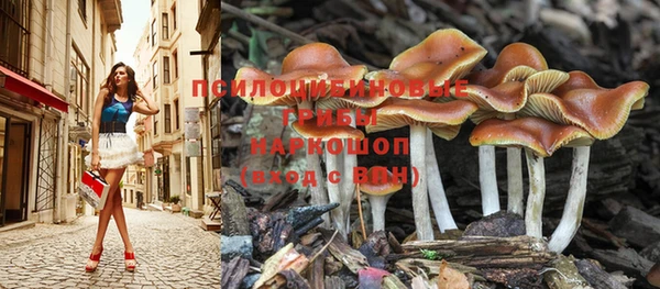 круглые Беломорск