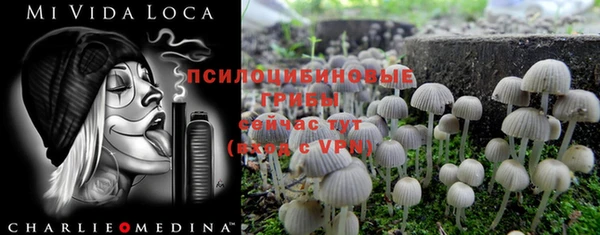 ешки Белоозёрский